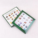 20pcs Rock Collection Mix Gems Mineral Ore Specimens Geology Science Teaching