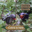 8808B Infrared Sensor Remote Control Simulated Cobra Creative Children Electric Tricky Toy Model