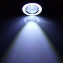 3.0 inch DC 12V 10W 900LM 6500K Car Angel Eyes Fog Lamp Foglight(White Light + White Light)