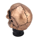Universal Skull Head Shape Manual or Automatic Gear Shift Knob Fit for All Car