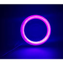 2 PCS 2.5 inch DC12V 10W 900LM 6500K Car Angel Eyes Fog Lamp Foglight, Cable Length: 20cm(Pink Light + White Light)