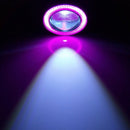 2 PCS 3.0 inch DC 12V 10W 900LM 6500K Car Angel Eyes Fog Lamp Foglight(Pink Light + White Light)