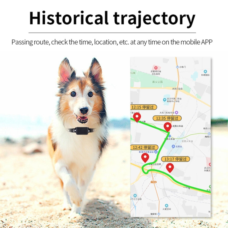 P03 Waterproof Pet GPS Tracker GPS+AGPS+WiFi+LBS Locator