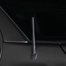 Modified Car Antenna Aerial