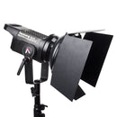Aputure LS C120D II High Color Restoration CRI 96 Light Storm Natural White Light 5500K COB LED Studio Video Light with 2.4GHz Wireless Remote & Control Box (Black)