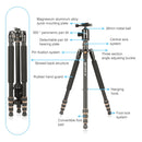 TRIOPO 554 Adjustable Portable Aluminum Alloy Tripod with D-2A Ball Head for SLR Camera