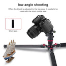 TRIOPO 888 Adjustable Portable Carbon Fiber Tripod with Q-2 Ball Head for SLR Camera, Pipe diameter: 28cm