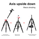 TRIOPO T259G+Q2 Adjustable Portable Carbon Fiber Tripod with Q-2 Ball Head for SLR Camera
