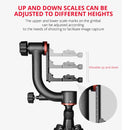 YELANGU A202 360 Degree Carbon Fiber Horizontal Gimbal Tripod Head for DV and SLR Cameras (Black)