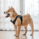 Original Pet-approved Comfort Pet Strap Mount Stand for Insta360 GO 2 (Black)