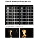Godox V1S Round Head TTL Flash Speedlite for Sony (Black)
