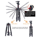 TRIOPO Oubao A-208S Adjustable Portable Aluminum Alloy Tripod with Ball Head for SLR Camera