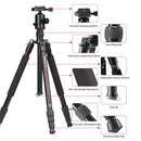 TRIOPO M2508 Multifunction Adjustable 4-Section Portable Aluminum Alloy Tripod Monopod with D-2A Ball Head for SLR Camera