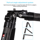 TRIOPO GS2808 Camcorder Photography No Axial Carbon Fiber Tripod Mount Holder with Ball Head, Load: 15KG