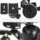 BEXIN W324C G44 Carbon Fiber Tripod Stable Shooting Camera for Video Point Dslr Camera