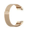 For Garmin Forerunner 45 / 45S / Swim 2 Milanese Watch Band(Champagne Gold)