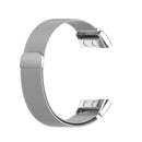 For Garmin Forerunner 45 / 45S / Swim 2 Milanese Watch Band(Silver)