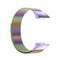 For Garmin Forerunner 35 / 30 Milanese Watch Band(Colorful)