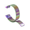 For Garmin Forerunner 35 / 30 Milanese Watch Band(Colorful)