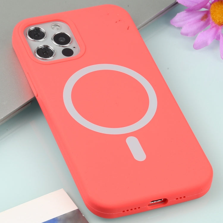 Nano Silicone Full Coverage Shockproof Magsafe Case For iPhone 11