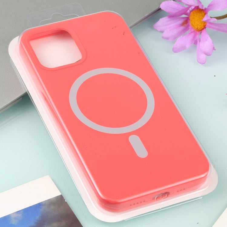 Nano Silicone Full Coverage Shockproof Magsafe Case For iPhone 11