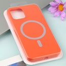 Nano Silicone Shockproof Magsafe Case For iPhone 12 mini