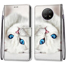 For Xiaomi Redmi Note 9T / Note 9 5G Coloured Drawing Cross Texture Horizontal Flip PU Leather Case with Holder & Card Slots & Wallet & Lanyard(White Kitten)