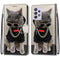 For Samsung Galaxy A52 5G Coloured Drawing Cross Texture Horizontal Flip PU Leather Case with Holder & Card Slots & Wallet & Lanyard(Golden Chain Grey Cat)