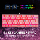 HXSJ V700 61 Keys RGB Lighting Gaming Wired Keyboard (Pink)