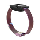 For Fitbit Inspire / Inspire HR / Ace 2 Double Insurance Buckle Milanese Watch Band(Colorful)