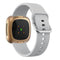 For Fitbit Versa 3 Silicone Watch Band(Grey)