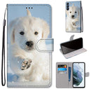 For Samsung Galaxy S21 FE Coloured Drawing Cross Texture Horizontal Flip PU Leather Case with Holder & Card Slots & Wallet & Lanyard(Snow Puppy)