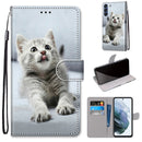 For Samsung Galaxy S21 FE Coloured Drawing Cross Texture Horizontal Flip PU Leather Case with Holder & Card Slots & Wallet & Lanyard(Small Gray Cat)