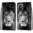 For Xiaomi Redmi K40 / K40 Pro / K40 Pro+ Coloured Drawing Cross Texture Horizontal Flip PU Leather Case with Holder & Card Slots & Wallet & Lanyard(Black White Lion Head)