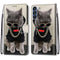 For Samsung Galaxy S21 FE Coloured Drawing Cross Texture Horizontal Flip PU Leather Case with Holder & Card Slots & Wallet & Lanyard(Golden Chain Grey Cat)