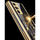 For Xiaomi Mi Mix Fold GKK Electroplating Painted Glass Phone Case(Lion)