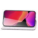 3D Painted Pattern Horizontal Flip Leather Case with Holder & Wallet & Card slot & Lanyard For iPhone 13(Thunder Lion)