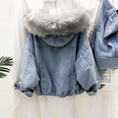 Velvet Thick Denim Jacket Female Winter Big Fur Collar Locomotive Lamb Coat Female Student Short Coat, Size: XXL(White)