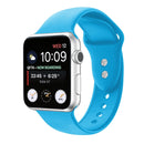 Double Nail Silicone Strap Watch Band For Apple Watch Series 7 45mm / 6 & SE & 5 & 4 44mm / 3 & 2 & 1 42mm(Blue)