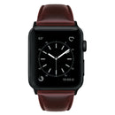 For Apple Watch Series 7 41mm / 6 & SE & 5 & 4 40mm / 3 & 2 & 1 38mm Oil Wax Genuine Leather Strap Watch Band(Red Brown)