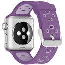 Square Hole Two-color Silicone Buckle Strap Watch Band For Apple Watch Series 7 45mm / 6 & SE & 5 & 4 44mm / 3 & 2 & 1 42mm(Dark Purple + Light Purple)