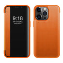 For iPhone 13 Pro Max Magnetic Side Window View Shockproof Horizontal Flip Leather Case (Orange)