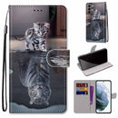 For Samsung Galaxy S22 5G Coloured Drawing Cross Texture Horizontal Flip Leather Phone Case with Holder & Card Slots & Wallet & Lanyard(Cat Becomes Tiger)