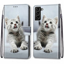 For Samsung Galaxy S22+ 5G Coloured Drawing Cross Texture Horizontal Flip Leather Phone Case with Holder & Card Slots & Wallet & Lanyard(Small Grey Cat)