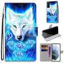 For Samsung Galaxy S22+ 5G Coloured Drawing Cross Texture Horizontal Flip Leather Phone Case with Holder & Card Slots & Wallet & Lanyard(Dick Rose Wolf)
