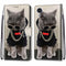 For Samsung Galaxy A03 Core Coloured Drawing Cross Texture Horizontal Flip PU Phone Leather Case with Holder & Card Slots & Wallet & Lanyard(Colorful Layer(Golden Chain Grey Cat)
