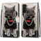 For Samsung Galaxy S22+ 5G Coloured Drawing Cross Texture Horizontal Flip PU Phone Leather Case with Holder & Card Slots & Wallet & Lanyard(Colorful Layer(Golden Chain Grey Cat)
