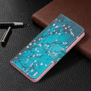 For Xiaomi Redmi Note 11 Pro / 11 Pro+ Colored Drawing Pattern Leather Phone Case(Plum Blossom)