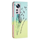 For Xiaomi 12 Colored Drawing Pattern Leather Phone Case(Feather)