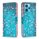 For OPPO Realme 9 Pro+ Colored Drawing Pattern Leather Phone Case(Plum Blossom)